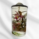 Preserved Flowers in Oil Lamp