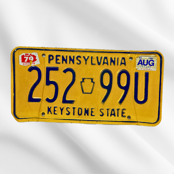 PA License Plate (25299U)