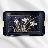 Japanese Black Serving Trays
