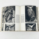 The Pictorial Encyclopedia of Birds