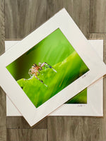 Untitled Print