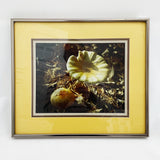 Framed Mushroom Photograph