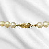 Pearl Necklace with 14K Gold Clasp