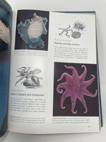Life Nature Library: The Sea